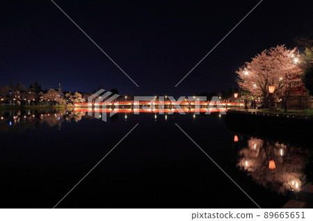 高田城西堀橋夜櫻花和燈飾 高田城西堀橋夜櫻花和燈飾 89665651