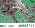 Cherry Blossom 89665742