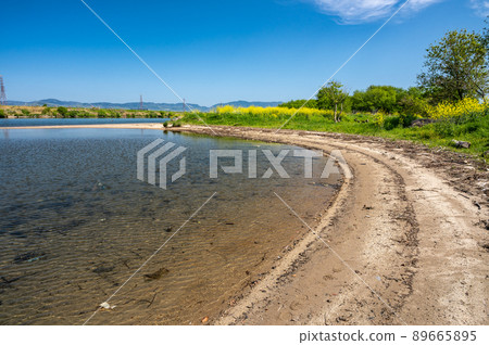 Waterside scenery of the Yodo River 89665895