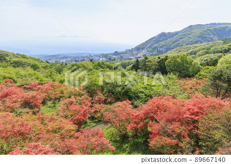 Ikaho Onsen Nagamine Park Mountain Azalea 89667140