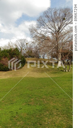 Spring park and blue sky 89667294