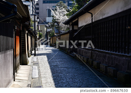 Nagamachi samurai residence ruins where cherry blossoms bloom Nagamachi samurai residence ruins where cherry blossoms bloom 89667630