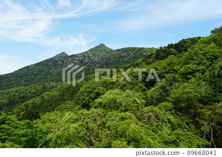 從初夏的表筑波天際線看筑波山的新鮮綠色與嫩葉 89668041