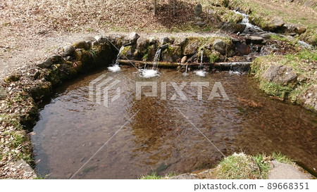 Clear stream of water eyes (Shinano Kuniichinomiya Suwa Taisha Kamisha Maemiya) 89668351