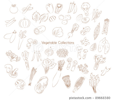 蔬菜 食品 矢量 89668380