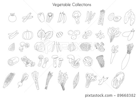 vegetables, vegetable, vector 89668382