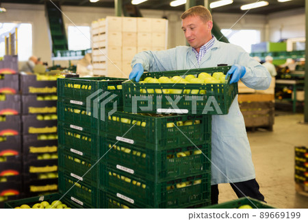 Man working with apples in crates and checking quality 89669199