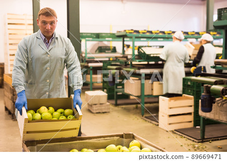 Man arranges boxes with apples at factory Man arranges boxes with apples at factory 89669471