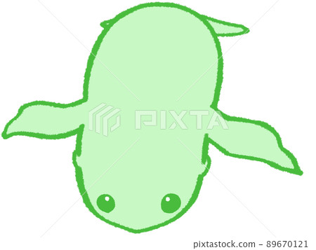 Sea lions (green) with their eyes turned toward us on their stomach Sea lions (green) with their eyes turned toward us on their stomach 89670121