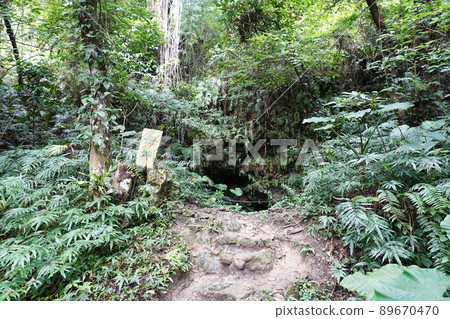 Okinawa valley of valley 89670470