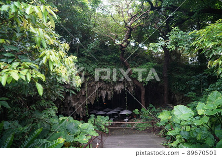 沖繩谷的山谷 89670501