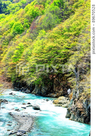 綠意盎然的秋山鄉中津川溪谷 89670528