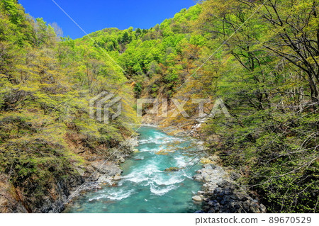 綠意盎然的秋山鄉中津川溪谷 89670529