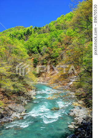 綠意盎然的秋山鄉中津川溪谷 89670530