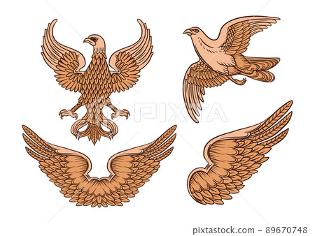 Eagle, falcon, bird, wing, double wings. Traditional character styles for coats of arms and shieldseagleset1zz Eagle, falcon, bird, wing, double wings. Traditional character styles for coats of arms and shieldseagleset1zz 89670748