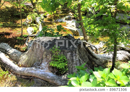 Nanno walk, Wolongsan Gyokiji Temple, 28 (Nanno Town, Kaizu City, Gifu Prefecture) Nanno walk, Wolongsan Gyokiji Temple, 28 (Nanno Town, Kaizu City, Gifu Prefecture) 89671306