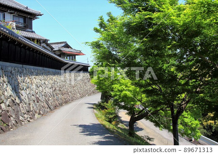 35號臥龍山行基寺難野漫步（岐阜縣海津市難野町） 89671313