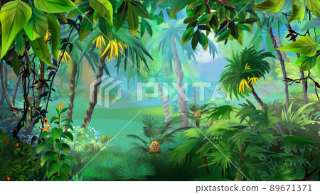 Plants in the rainforest 01 89671371