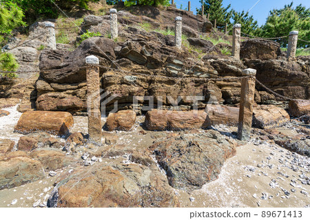 《Fukuoka Prefecture》 Fresh green Najima Shrine, Higashi-ku, Fukuoka City 89671413