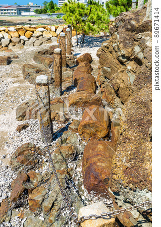 《Fukuoka Prefecture》 Fresh green Najima Shrine, Higashi-ku, Fukuoka City 89671414