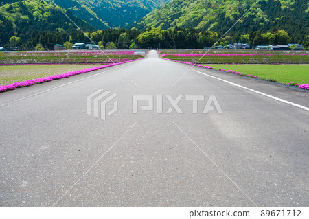 A straight road [mountain, moss phlox] 89671712