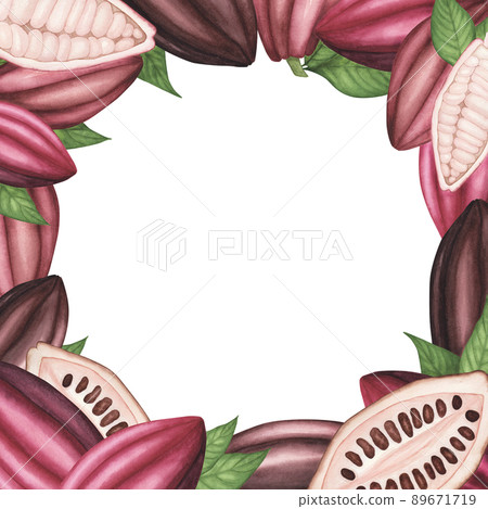 Square banner with Ripe Cocoa pod with beans and leaves isolated on white background. Watercolor hand drawn llustration Square banner with Ripe Cocoa pod with beans and leaves isolated on white background. Watercolor hand drawn llustration 89671719
