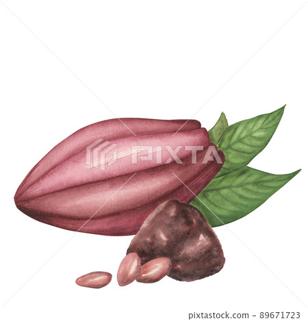 Natural ruby cocoa pod with powder and beans set isolated. Watercolor hand drawn illustration. Art for design chocolate Natural ruby cocoa pod with powder and beans set isolated. Watercolor hand drawn illustration. Art for design chocolate 89671723