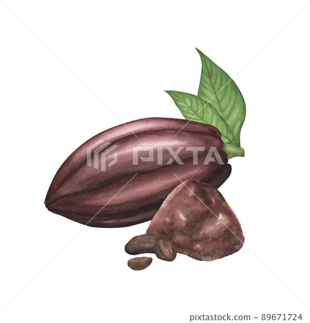 Natural brown cocoa pod with powder and beans set isolated. Watercolor hand drawn illustration. Art for design chocolate Natural brown cocoa pod with powder and beans set isolated. Watercolor hand drawn illustration. Art for design chocolate 89671724