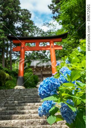 神社入口處的繡球花“岡山縣真庭市木山神社” 89672001