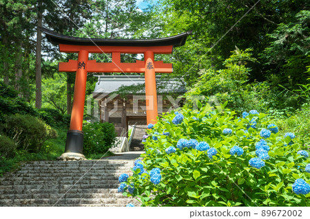 神社入口處的繡球花“岡山縣真庭市木山神社” 89672002