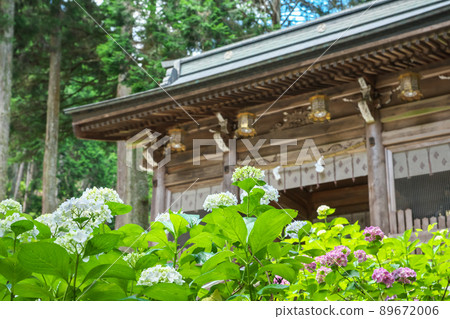 神社入口處的繡球花“岡山縣真庭市木山神社” 89672006