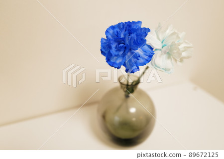 Blue and white carnations in a vase in the living room Blue and white carnations in a vase in the living room 89672125