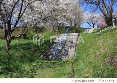 Shiroyama Park (Shiwa Town, Iwate Prefecture), Sakura Festival 89672173