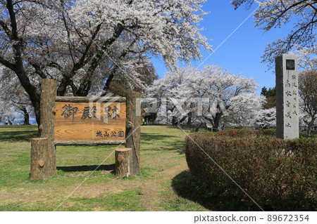 城山公園（岩手縣志和町）御殿遺跡、櫻花祭 89672354