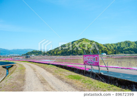 莫斯福祿考村，出生地[福井縣小野市] 89672399