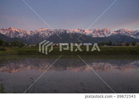 Hakuba Mountains in the morning glow reflected on the surface of paddy fields Hakuba Village, Nagano Prefecture 89672543