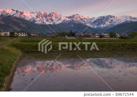 Hakuba Sanzan in the morning glow reflected on the surface of the paddy field Hakuba Village, Nagano Prefecture 89672544