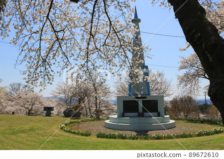 Shiroyama Park (Shiwa Town, Iwate Prefecture), Sakura Festival 89672610