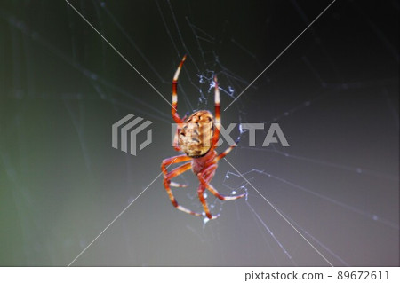 朱紅色美腿的山城鬼雲 89672611