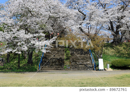 Shiroyama Park (Shiwa Town, Iwate Prefecture), Sakura Festival 89672761