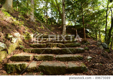 Oyama mountain trail 89673089