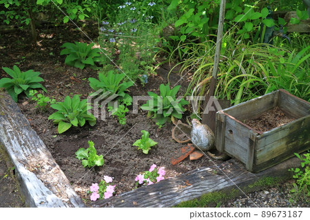 園藝園（岐阜縣可兒市岐阜世界玫瑰園、舊花節紀念公園） 89673187