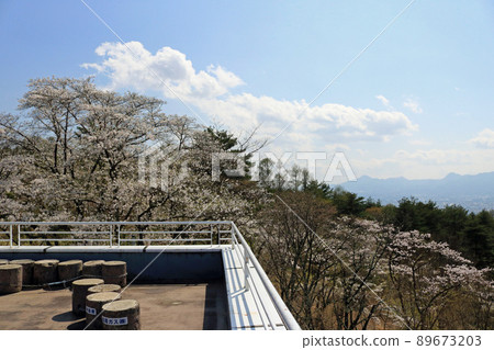 View from Iwayama Observatory View from Iwayama Observatory 89673203