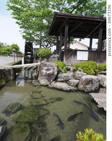 Harie,高島市水車和原水鎮的鯉魚 Harie,高島市水車和原水鎮的鯉魚 89673396