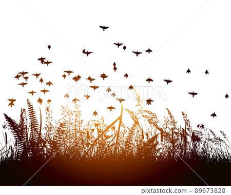 Grass at sunset with flying birds. Vector illustration Grass at sunset with flying birds. Vector illustration 89673828