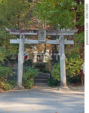 竹筱神社(新座) 竹筱神社(新座) 89673880
