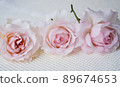 Rose Monique Dove 89674653