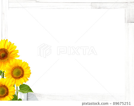 Sunflower and wooden frame 89675251