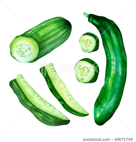 Set of sliced cucumber green vegetables watercolor illustration Set of sliced cucumber green vegetables watercolor illustration 89675799