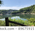 Dam 89675915